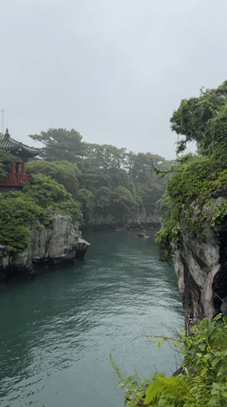 Rainy morning at Jeju's canyon pavilion and suspension bridge