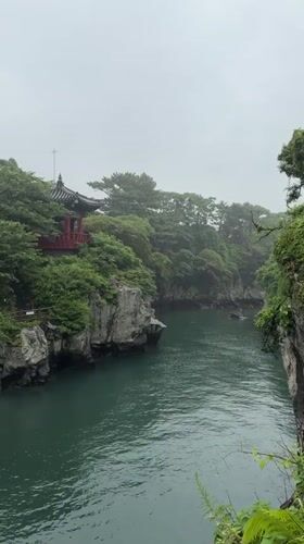 Rainy morning at Jeju's canyon pavilion and suspension bridge