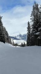 Skier spotted on snowy slopes at Courchevel resort