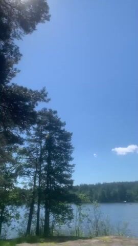 A camera pans across a scenic lake surrounded by lush green trees under a bright blue sky with a few fluffy white clouds. The sun shines brightly, creating a glare in the upper left corner of the frame. In the foreground, the dark silhouettes of tall pine trees stand on the left, with their branches reaching into the clear sky. The tranquil lake in the middle distance reflects the light, and a dense forest lines the opposite shore. The sound of a person speaking in Russian can be heard in the background.