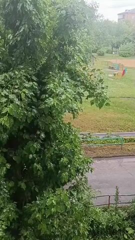 The video displays an outdoor scene from an elevated, static perspective. In the foreground, numerous wet green leaves, likely from a large tree, fill the left side of the frame and extend towards the center. Beyond the foliage, a dark, wet paved surface is visible, with a light-colored metal railing running along its edge. Further back, an expansive green lawn is present, featuring several small, colorful structures resembling tables and benches, possibly part of a playground or picnic area, with elements of red, blue, and yellow. In the background, more green trees and foliage are visible under an overcast sky. No people or animals are present, and there is no discernible action.