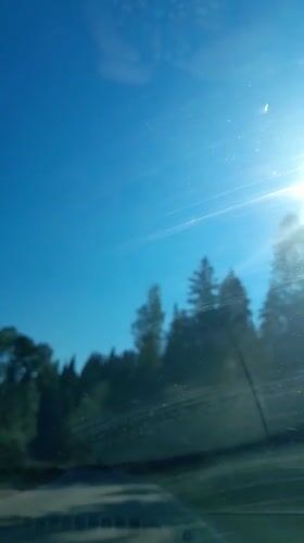 Sunny morning drive through forested roads in Rzepiska, Poland