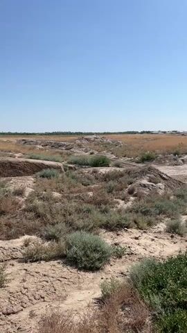 The video shows an expansive, dry, and dusty landscape under a clear blue sky. The ground is a mix of dirt, sand, and sparse, dry vegetation, with some patches of green bushes scattered throughout. In the distance, there are mounds of earth and debris, suggesting an archeological site or construction area. Further in the background, a large building with a blue dome and brick walls is visible, surrounded by more dry, flat terrain. The overall impression is one of a remote, arid environment with signs of past or present human activity.