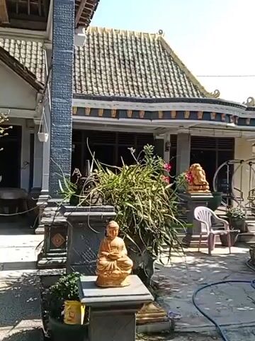 The video pans across an outdoor courtyard on a sunny day. A traditional-style house with a tiled roof and ornate eaves is visible in the background. The courtyard is decorated with various garden ornaments, including a Buddha statue, a lion statue, and a small pagoda-style lantern. Lush greenery, including tall grasses and trees, fills the space. A white plastic chair sits in front of the house, and a blue hose lies on the paved ground. The overall impression is a tranquil, well-maintained outdoor area.