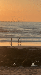 Families enjoy sunset stroll on Bidart beach, France