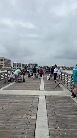 The video shows a wooden pier with people fishing. Most are standing near the railings with fishing rods, some have carts with gear. People are also walking down the middle of the pier. The sky is overcast. Buildings are visible in the background across the water.