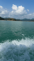 Green lake waters with foamy waves observed in Thailand