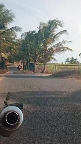 The video shows a first-person perspective of someone riding a motorcycle on a paved road lined with palm trees. In the distance, another motorcycle with a rider can be seen traveling in the same direction. The road is narrow and appears to be in a rural area, with fields visible on the right side of the road. The sky is clear and the sun is shining. The camera focuses on the motorcycle's exhaust pipe in the foreground.