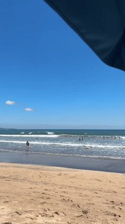 Sunny beach day recorded in Kuta, Indonesia