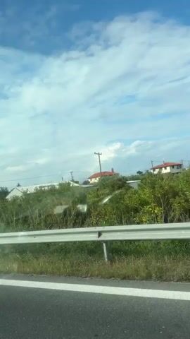 The video shows a view from a moving vehicle traveling along a road. The roadside features green vegetation, a guardrail, and power poles. In the distance, there are buildings and fields being irrigated. The sky is blue with scattered clouds. As the vehicle passes under a bridge, graffiti is visible on the bridge's support structure.