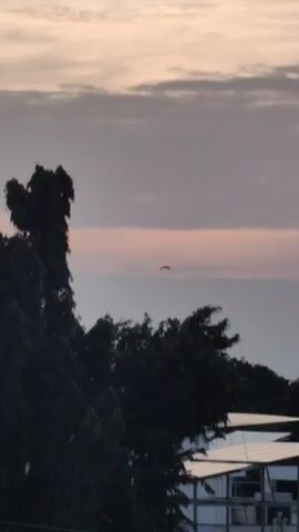 A time-lapse video shows the sky with clouds at dusk. A silhouette of a bird can be seen flying in the distance. Trees are in the foreground, and part of a building with solar panels is visible on the right. The sky transitions from light pink to gray as the sun sets.