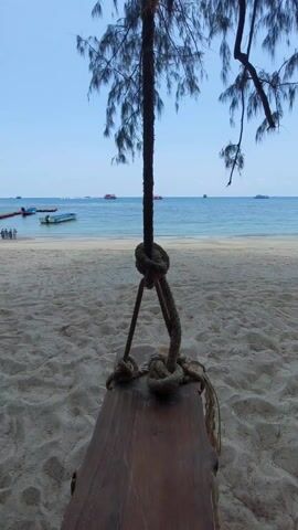 The video shows a swing hanging from a tree on a sandy beach. In the background, there's a calm blue sea with several boats visible in the distance. The sky is clear and light blue. The swing is made of a wooden plank, suspended by a thick rope tied in knots. The sand is light-colored and shows footprints. Some sparse, thin branches of the tree hang down, partially framing the view.