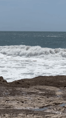 Surfer with e-bike spotted at Costa da Caparica beach