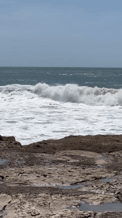 Surfer with e-bike spotted at Costa da Caparica beach