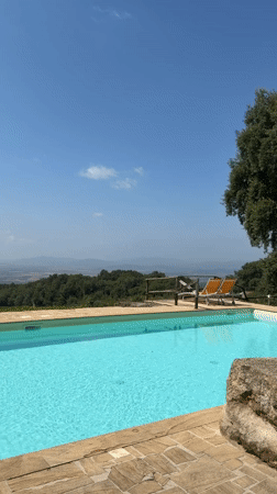 Lizard encounter by a hillside pool in Tuscany