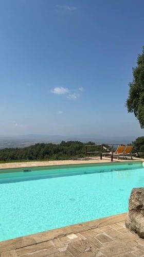 Lizard encounter by a hillside pool in Tuscany