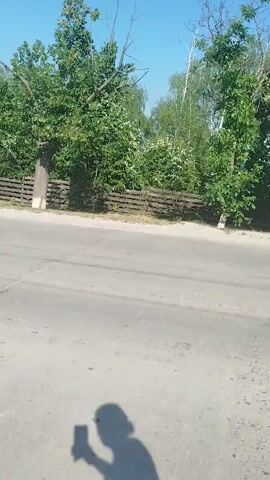 The video begins with a shadow of a person holding a phone, then pans to a tree and a wooden fence. The camera then moves along a paved road with a sidewalk. Two people are seen walking on the sidewalk. The scene is set outdoors with trees and a blue sky.