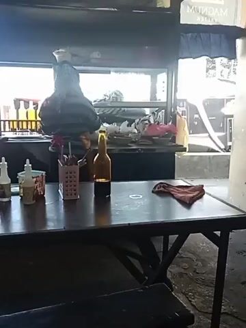 A person wearing a hooded jacket is seen standing behind a counter at what appears to be an outdoor food stall. In front of them, on a dark wooden table, is a brown bottle and a red napkin. To the left of the table, there are two squeeze bottles and a red plastic container filled with food. Behind the counter, there are various items, including what looks like more food, packaging, and a basket. The overall environment suggests a casual dining or food service setting. The lighting indicates it is daytime.