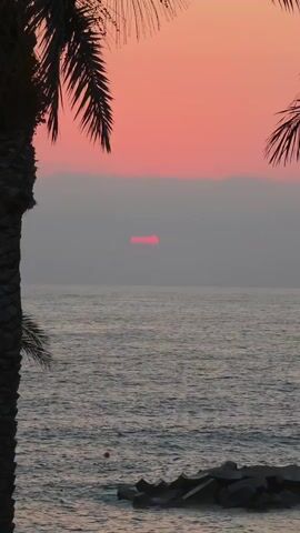 The video shows a sunset over the ocean. The sun is a small, red horizontal line partially obscured by clouds. The sky is a gradient of pink and orange. The ocean is choppy and grey. There are palm trees on either side of the frame, their fronds silhouetted against the sky. In the foreground, there is a rocky breakwater.