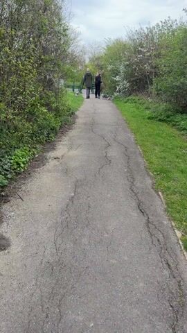 The video shows a cracked asphalt path in a park-like setting. Two individuals, one in a dark jacket and one in a green jacket, are walking away from the camera with several dogs on leashes. The path is lined with grass and various types of foliage.  The camera is low to the ground, potentially hand-held, capturing the scene from behind the walkers. The sky appears overcast.
