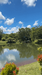 Peaceful lakeside gathering captured in Kuta Selatan park