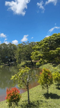 Peaceful lakeside gathering captured in Kuta Selatan park