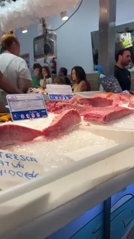 The video shows a close-up view of a fish market stall, focusing on a display of fresh fish on ice. The fish appears to be primarily tuna, with large cuts of raw, pinkish-red meat prominently featured. The ice is crushed and fills the display tray, surrounding the fish. In the background, there are several people, including a woman wearing a white top who appears to be a vendor, interacting with customers. The market environment is visible with stalls and other merchandise. A blue and white price tag with the currency symbol "€" and numbers "2.40" is visible in the foreground, indicating the price of the fish. The overall scene suggests a busy and active fish market.