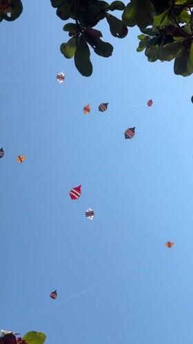 Kite festival and beach activity on a sunny Denpasar shore