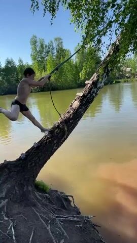A person in black swim shorts climbs down a leaning tree trunk and grabs onto a rope swing. They swing out over the muddy-brown lake water and release, falling backward into the water with a splash. Another person in a dark t-shirt and light shorts sits on the tree roots, watching the first person. The lake is surrounded by green trees and foliage under a bright, sunny sky.