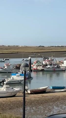 The video shows a harbor with several boats docked and in the water. The water is calm and reflects the clear sky. The boats are of various sizes and types, including fishing boats and smaller recreational boats. Some boats are moored at a dock, while others are in the open water. The surrounding landscape appears to be marshy or wetland, with vegetation visible in the distance. The scene is illuminated by sunlight, suggesting it is daytime. There are no visible people in the frame.