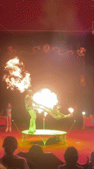 Circus Performance Features Acrobats and Motorcyclists in Sofia