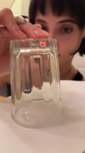 Woman captures spider under glass in New York