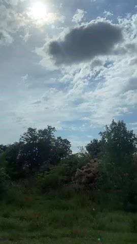 The video shows a view from a moving vehicle, likely a car, looking out at a landscape under a bright, partly cloudy sky. The sun is visible in the upper left corner, with rays of light emanating from it. The sky is a mix of blue and white, with scattered clouds, some of which are dark and ominous. The foreground consists of green grass and foliage, with a line of trees and bushes forming a dense barrier. As the video progresses, the view shifts to reveal a more open landscape with fields and a single tree. The overall impression is one of natural scenery, possibly rural or suburban, on a dynamic day with changing weather. There are no people or specific objects of note visible in the video, besides the natural elements. The motion of the vehicle is suggested by the subtle changes in perspective and the implied movement of the landscape.