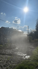 Sunny afternoon captures dog play, garden watering, clear skies