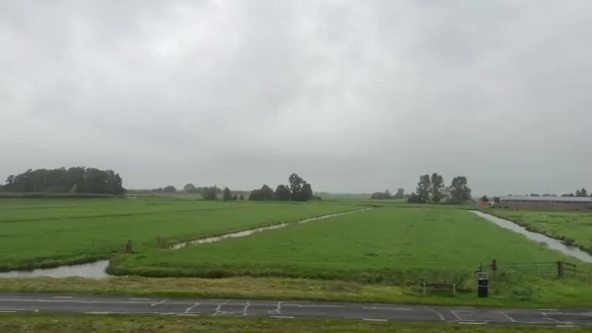 The video displays a flat, rural landscape under a gray, overcast sky. The foreground features a dark asphalt road with a faint white line, bordering lush green fields. To the right of the road, a ditch filled with water separates the road from a meticulously maintained green field. Several straight, narrow irrigation ditches crisscross the field, creating a geometric pattern. In the middle ground, a cluster of trees forms a dense, dark mass. Further into the distance, more trees are scattered across the horizon. A person wearing a bright yellow jacket is visible working in the field, stooped over and appearing to tend to something on the ground. A few cows are also present in the field. Towards the right of the frame, a small, dark-colored car is parked on the side of a road that runs alongside another green field. The overall impression is one of a quiet, agricultural setting on a gloomy day.