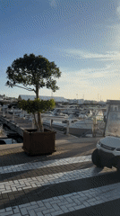 Ibiza marina on a clear afternoon, boats and waterfront life