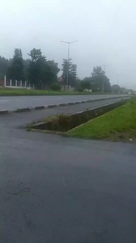 Here is a description of the scene in the video:

The video shows a view of a road on a foggy day. The road is asphalt with a grassy median and a concrete drainage ditch running alongside.  On the right side of the road, there are banana trees and a small, makeshift structure, possibly a roadside stand. Several street lights line the side of the road in the distance, obscured by the fog. The overall impression is one of a quiet, damp, and somewhat deserted place.