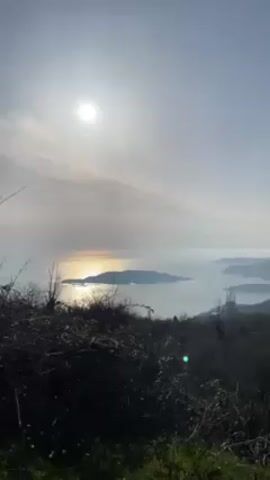 The video shows a view of the ocean and some islands from a slightly elevated position. The foreground is dominated by dense, dark vegetation. Above, the sun shines brightly through thin clouds, creating a hazy effect. The sunlight reflects on the ocean surface, causing a shimmering golden glow. The islands in the distance are silhouetted against the bright water and sky.