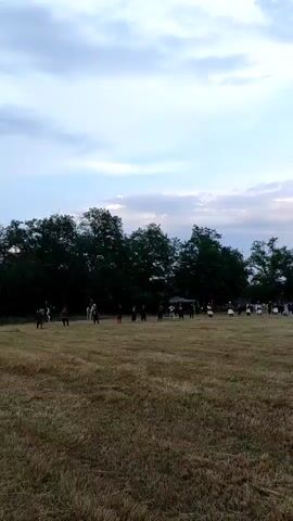 A wide shot shows a dry, yellowish-brown field under a partly cloudy sky. A line of trees stretches across the middle ground. In the background, buildings and a crowd of people are visible. Scattered figures, some near horses, are present in the field. At 0:00, a white plume of smoke and a flash appear on the left side of the field, accompanied by a loud bang. The camera pans right, tracking the dissipating smoke. At 0:02, a second, darker plume of smoke erupts further to the right in the field. The camera continues to pan right, revealing more of the distant crowd and structures as the smoke clears.