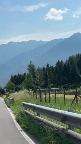 A video taken from a moving vehicle shows a paved road with a metal guardrail on the right side. The road curves gently to the left. Beyond the guardrail, there is tall green grass and wildflowers, with a wire fence in the background. A dense forest of evergreen trees borders the field, and behind the trees, majestic blue-hued mountains rise against a clear blue sky with scattered white clouds. Power lines are visible across the top of the frame. The sun is shining brightly, indicating a clear day.