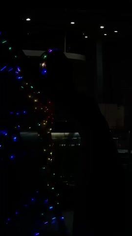 The video begins with a dark, abstract shot of colorful lights. As the video progresses, it becomes clear that the lights are part of a display, possibly a Christmas tree or a similar festive decoration. The lights are arranged in a vertical pattern and appear to be moving or changing color. There is a silhouette of a person visible in the background, partially obscured by the lights. The environment appears to be indoors, with some ceiling lights visible in the upper portion of the frame. The video is brief and focused on the visual effect of the lights.