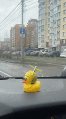 Driver displays novelty rubber duck on dashboard in Krasnoyarsk