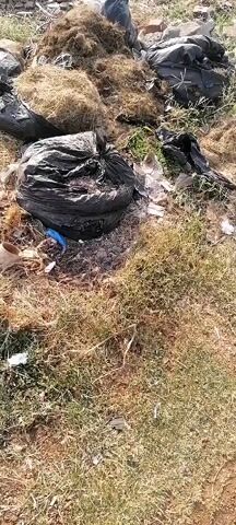 The video shows a scene of environmental pollution. There are multiple black plastic bags full of garbage, along with loose piles of dry grass and a variety of other waste scattered across the ground. Some of the waste includes plastic containers and broken glass. In the background, a small fire is burning, emitting smoke into the air. The ground is covered in dry grass and debris, indicating an uncared-for area.