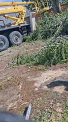 Tree removal crew operates crane near brick building