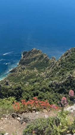 Tourist captures scenic Anacapri coastal views with Faraglioni formations