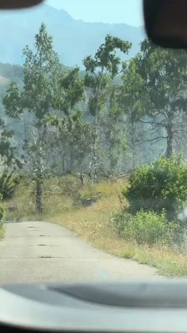 The video is captured from the interior of a vehicle looking forward through the windshield and includes a reflection in the rearview mirror. A paved road curves away to the left into a grassy, hilly area with scattered trees. The trees in the foreground appear to be birch trees with white bark and green foliage. Beyond the trees, in the middle ground, is an area with a light haze, potentially smoke, suggesting a fire. In the background, mountains are visible under a clear sky. The interior of the car is partially visible at the bottom of the frame, and the rearview mirror shows a blurred reflection of a person and the sky. The overall impression is a scenic view of a rural or natural landscape that may be impacted by a fire.