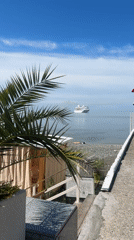 Early morning beach life captured along Sochi waterfront