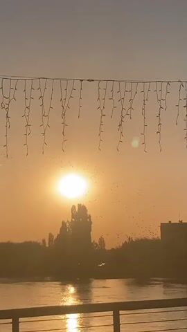 The video shows a sunset over a body of water. There are string lights hanging across the top of the frame. In the distance, there are trees and a building. Birds are flying in the sky. The water reflects the sunset.
