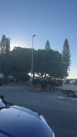The video shows a horse-drawn carriage on a street. The carriage is black with yellow wheels and is pulled by two horses. There are two people in the carriage and two people standing near the horses. The scene appears to be in a city or town, with buildings and trees visible in the background. The sky is blue and clear, suggesting it is daytime.