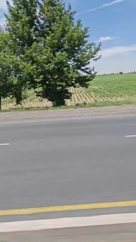 A video taken from a moving vehicle shows a rural landscape. A paved road with a yellow and white line is in the foreground. To the left of the road, a field of crops is visible. Several trees are scattered throughout the scene. In one shot, a white van is parked on the side of the road under a tree. In another shot, a silver car passes by. The sky is blue with some white clouds.